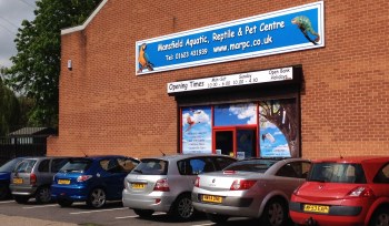 About Us | Mansfield Aquatic, Reptile & Pet Centre (Marp ...